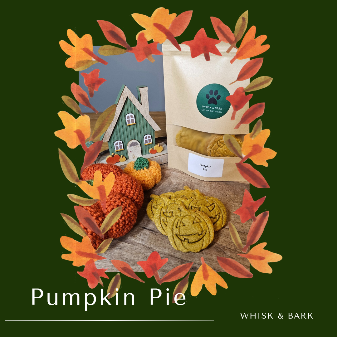 Pumpkin Pie